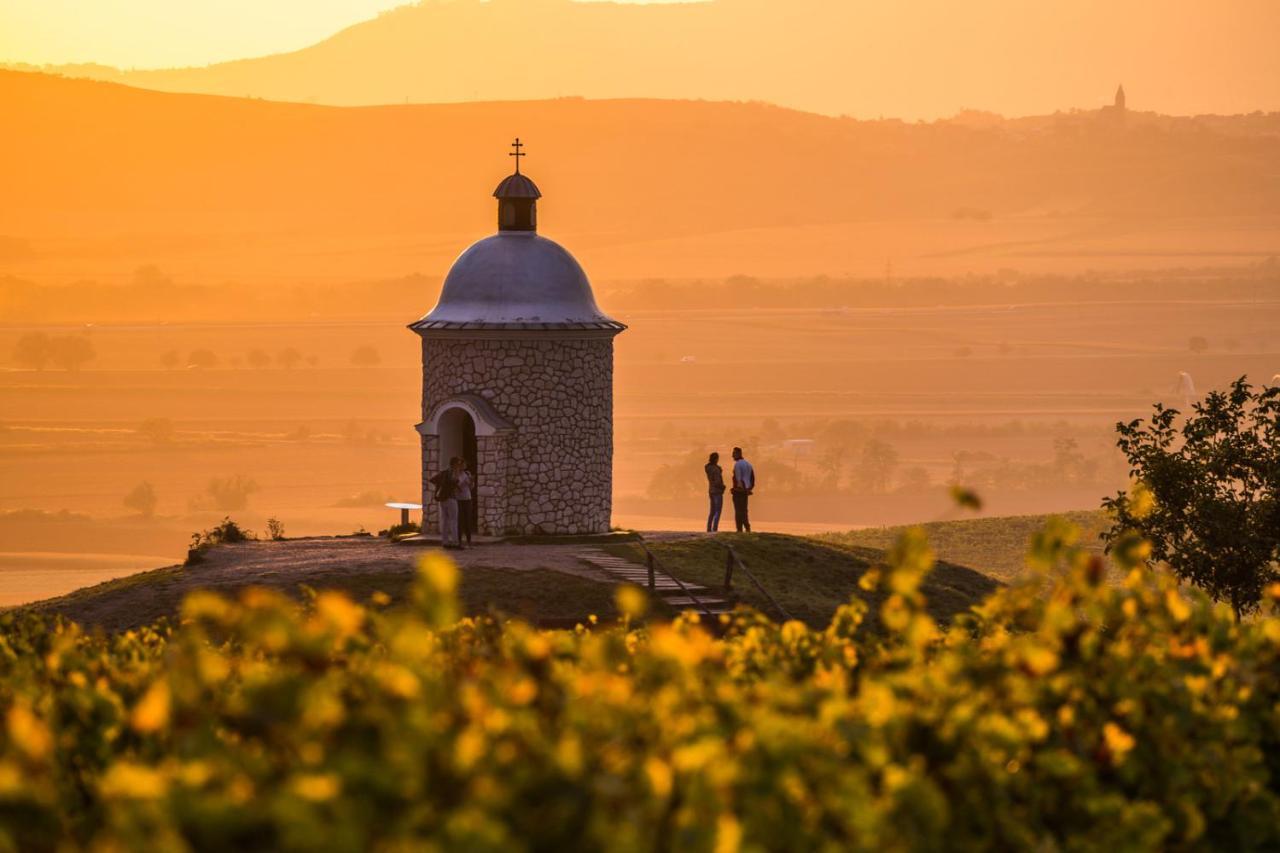 Vinný sklep Vinoza Velké Bílovice Exterior foto