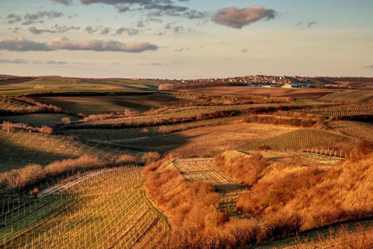 Vinný sklep Vinoza Velké Bílovice Exterior foto