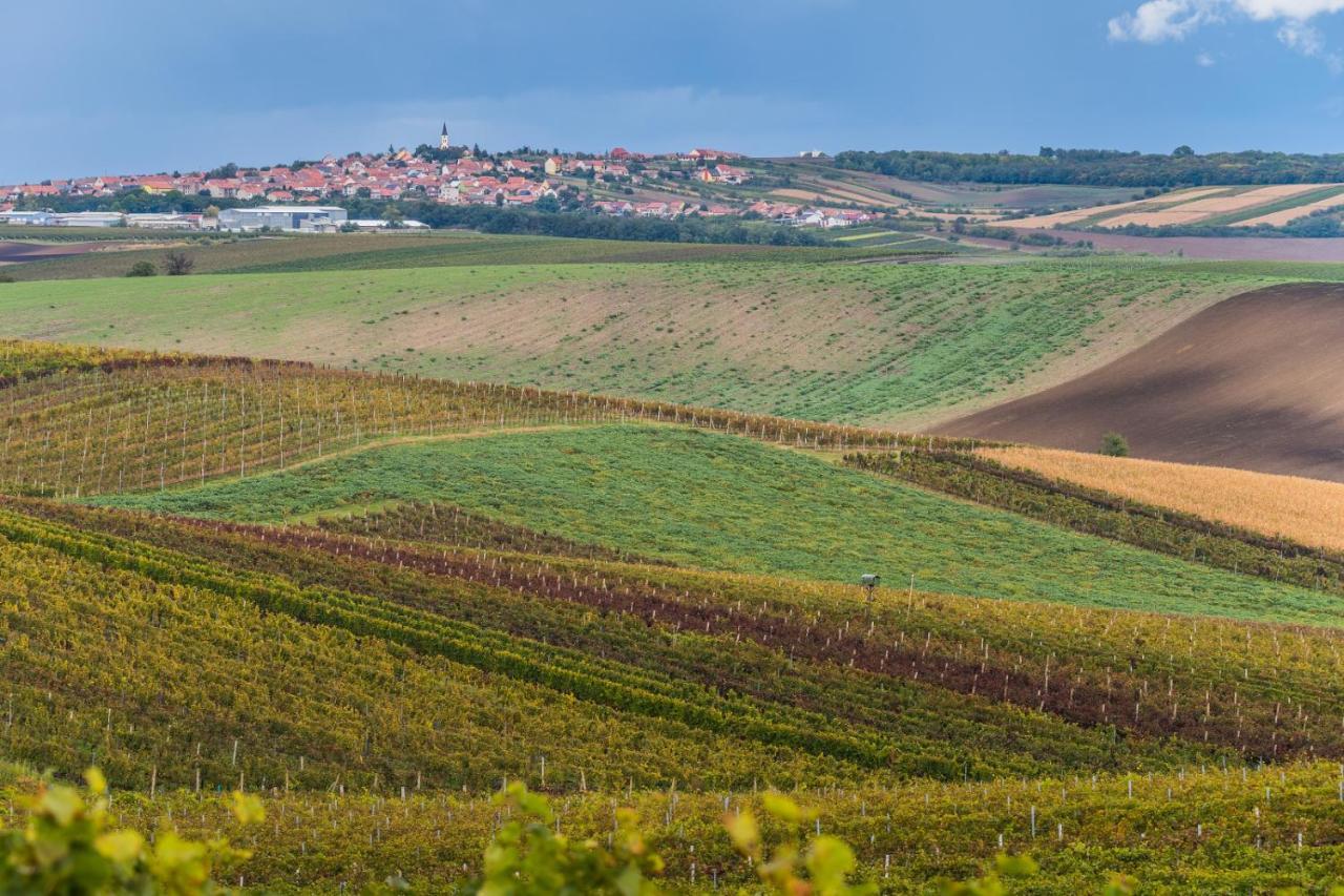 Vinný sklep Vinoza Velké Bílovice Exterior foto