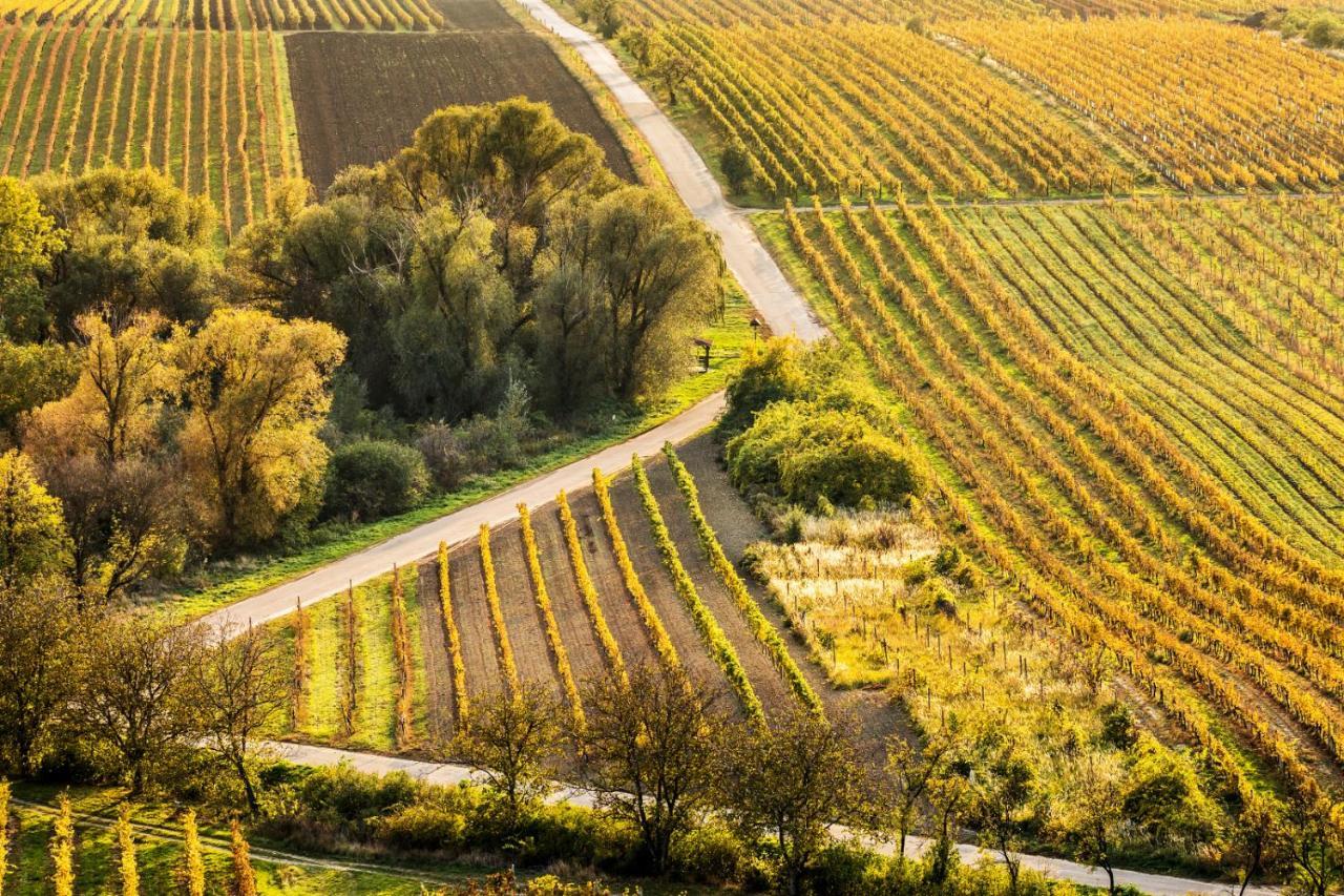 Vinný sklep Vinoza Velké Bílovice Exterior foto